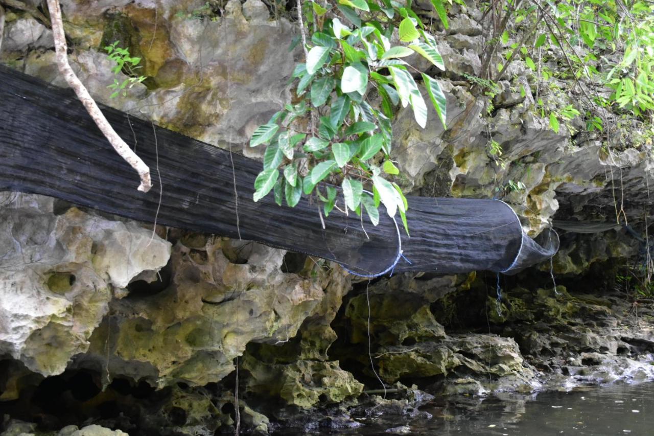 Kampoeng Karst Rammang Rammang Guest House Kasijala Exterior photo