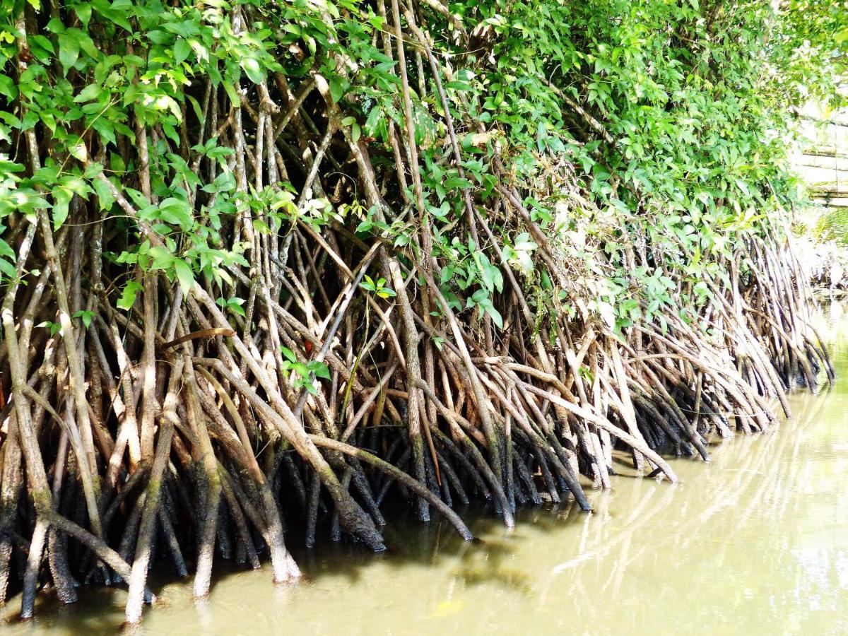 Kampoeng Karst Rammang Rammang Guest House Kasijala Exterior photo